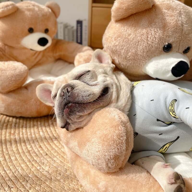 Aftageligt Kattebed i Blødt Kerseymere med Bamse Design