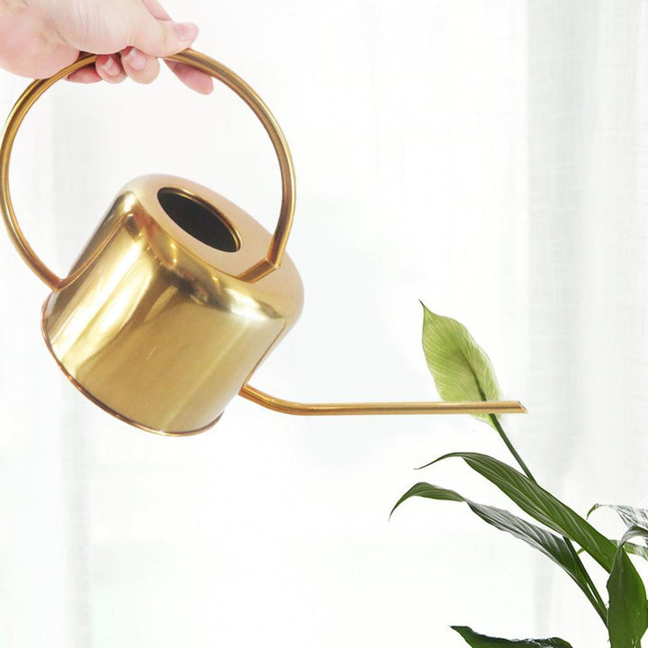 Guld Vandkande i Rustfrit Stål til Stueplanter