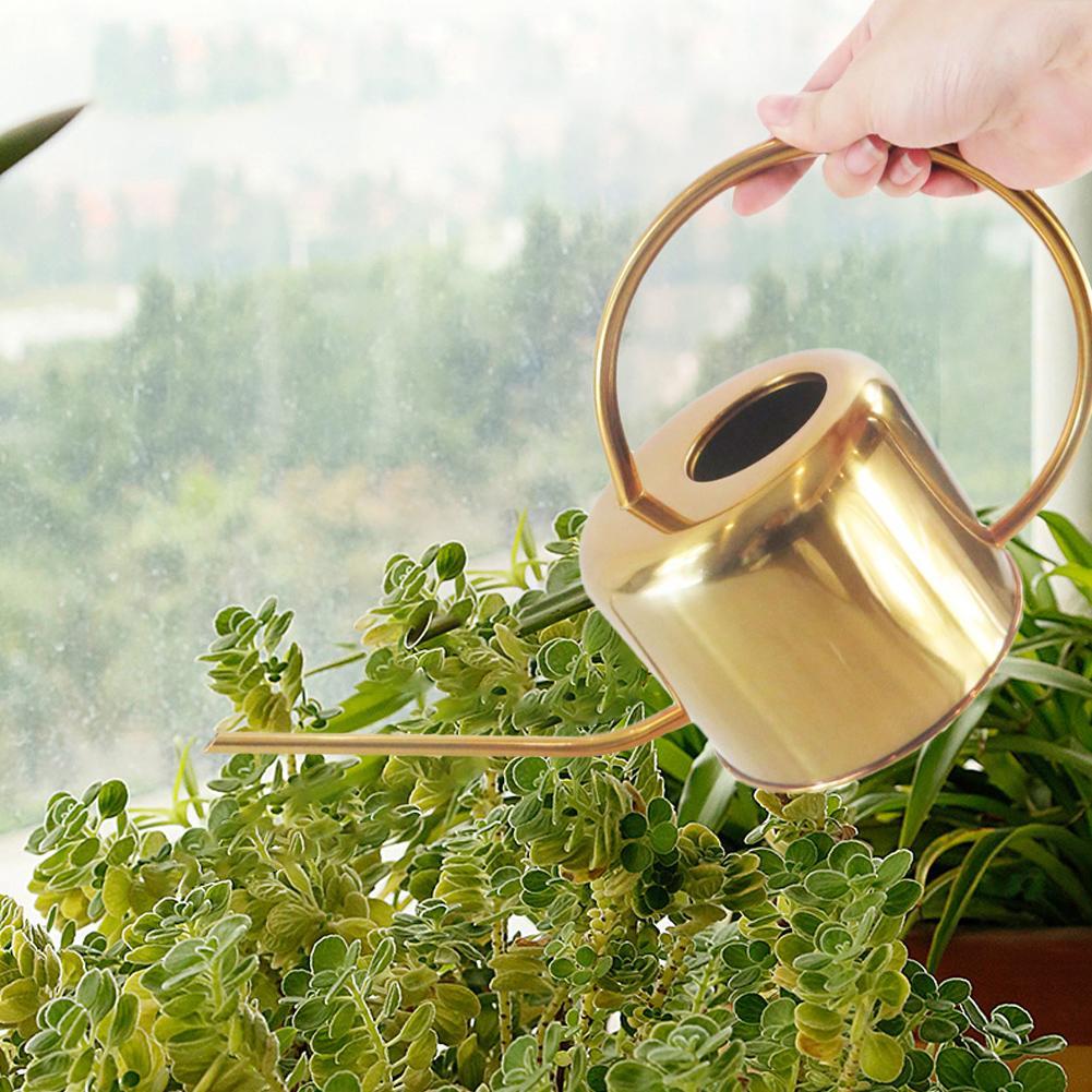 Guld Vandkande i Rustfrit Stål til Stueplanter