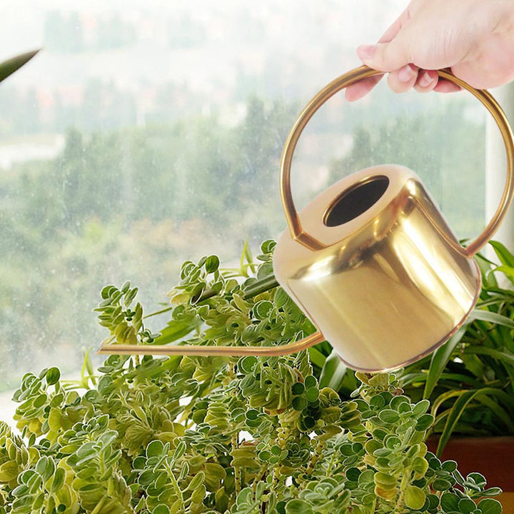 Guld Vandkande i Rustfrit Stål til Stueplanter