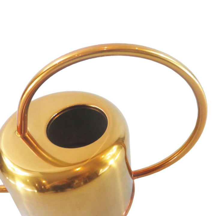 Guld Vandkande i Rustfrit Stål til Stueplanter