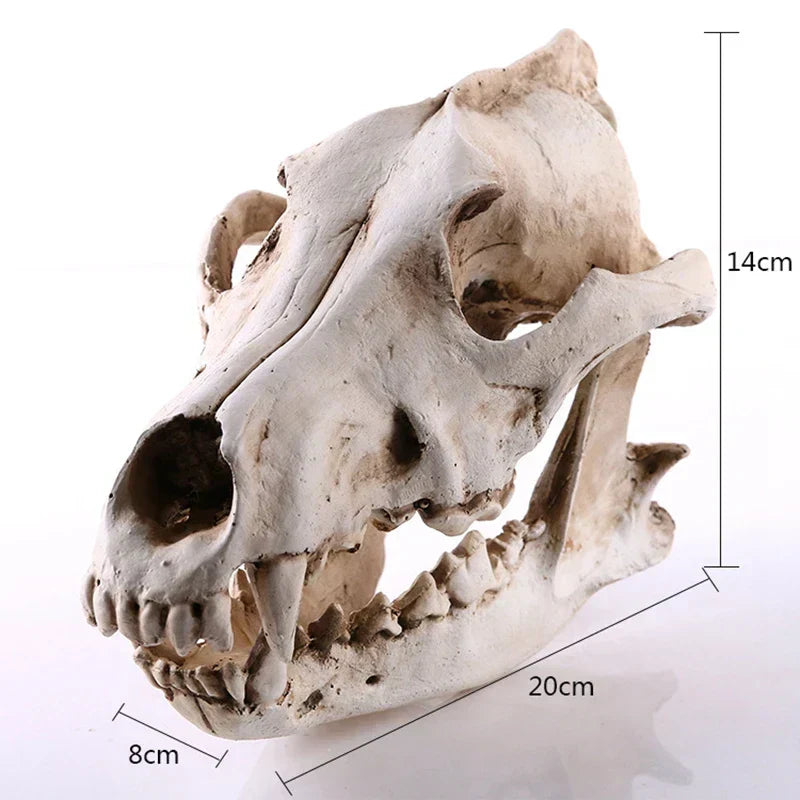 Realistisk Wolf Skulder Skulptur i Harpiks