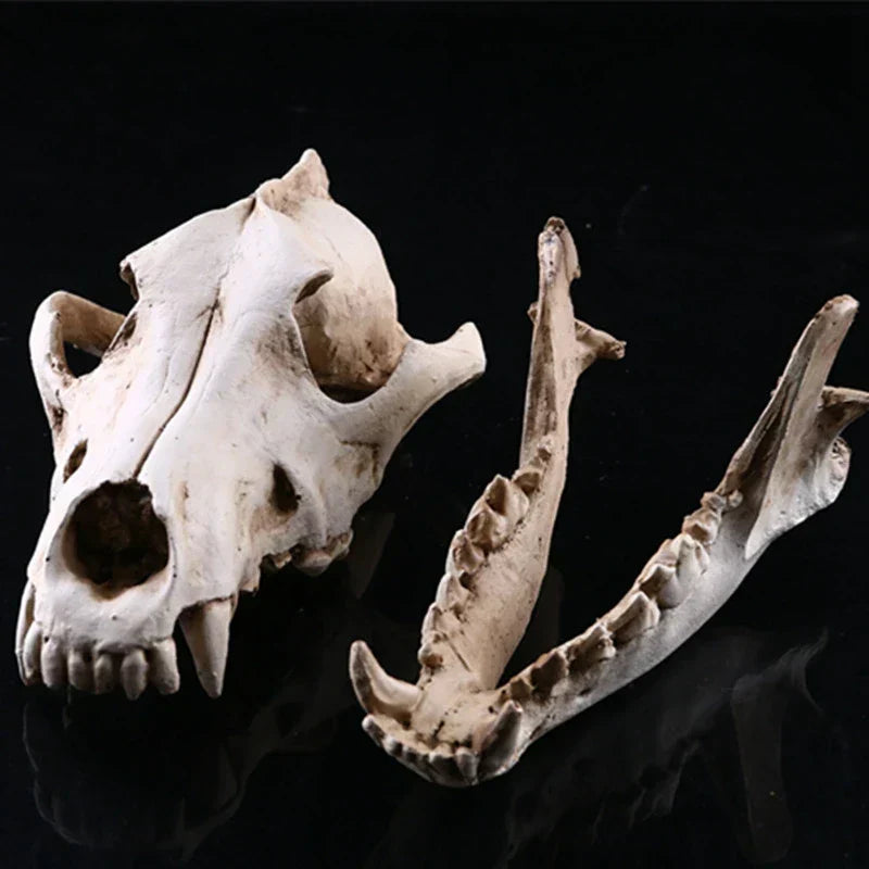 Realistisk Wolf Skulder Skulptur i Harpiks