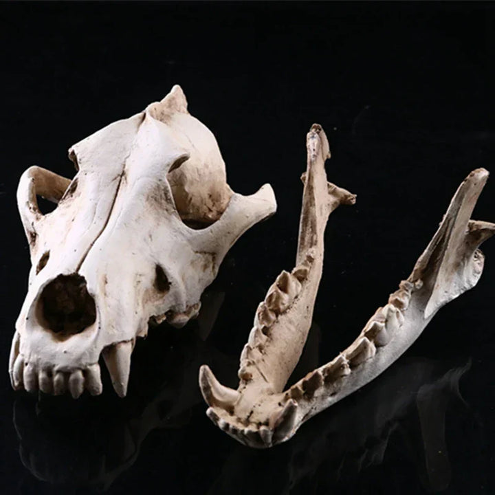 Realistisk Wolf Skulder Skulptur i Harpiks