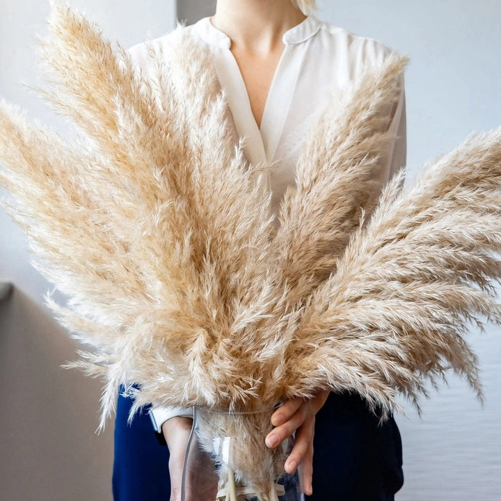 Tørret Pampas Græs Blomster - Boho Dekoration