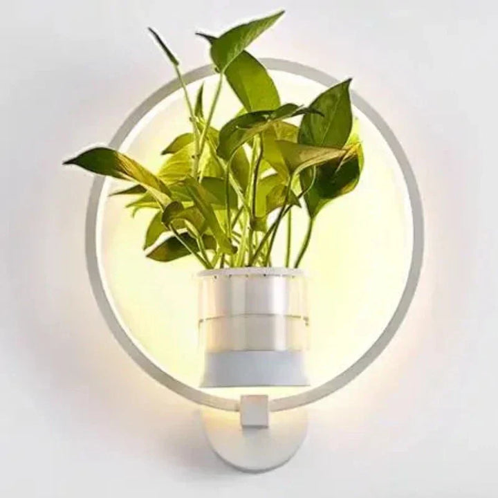 Moderne Væglampe i Jern og Glas med Plante Design