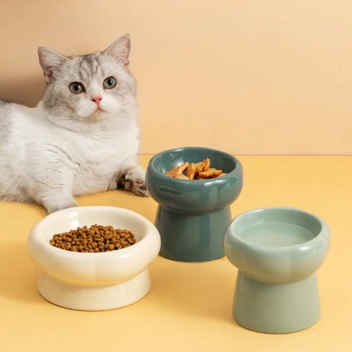 Hævede Keramiske Katte Skåle med Antibakterielle Egenskaber