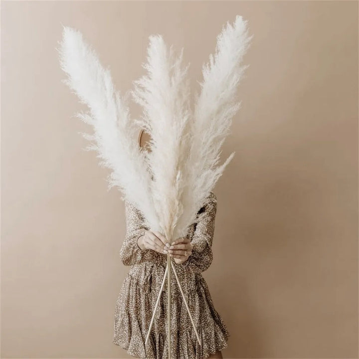 Tørret Pampas Græs Blomster - Boho Dekoration