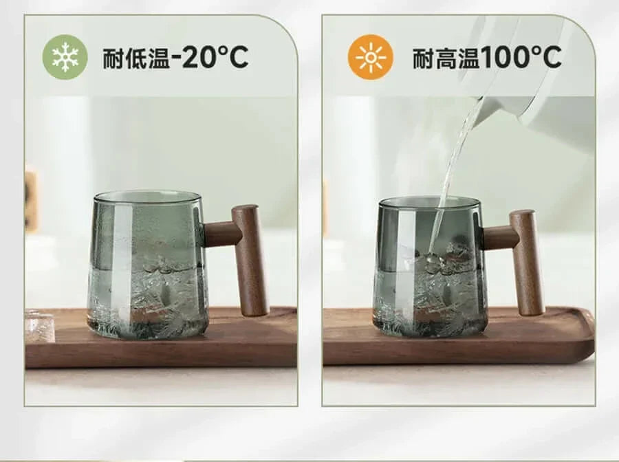 Varmebestandig Glas Teekop med Si og Låg i Elegant Design