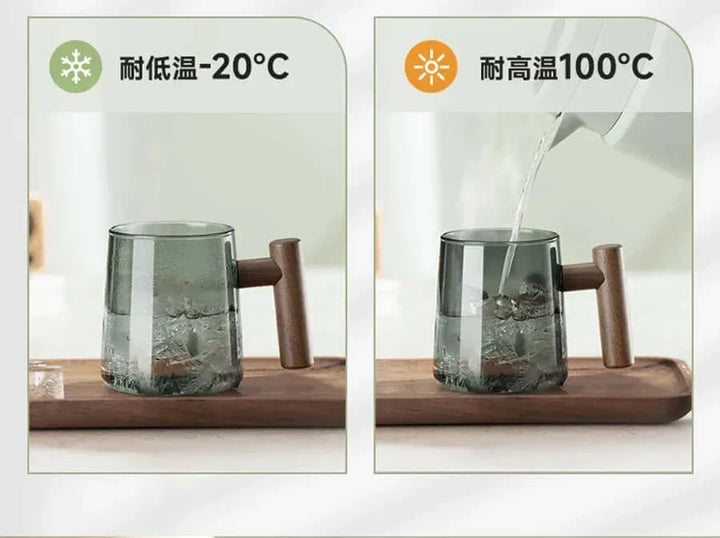 Varmebestandig Glas Teekop med Si og Låg i Elegant Design