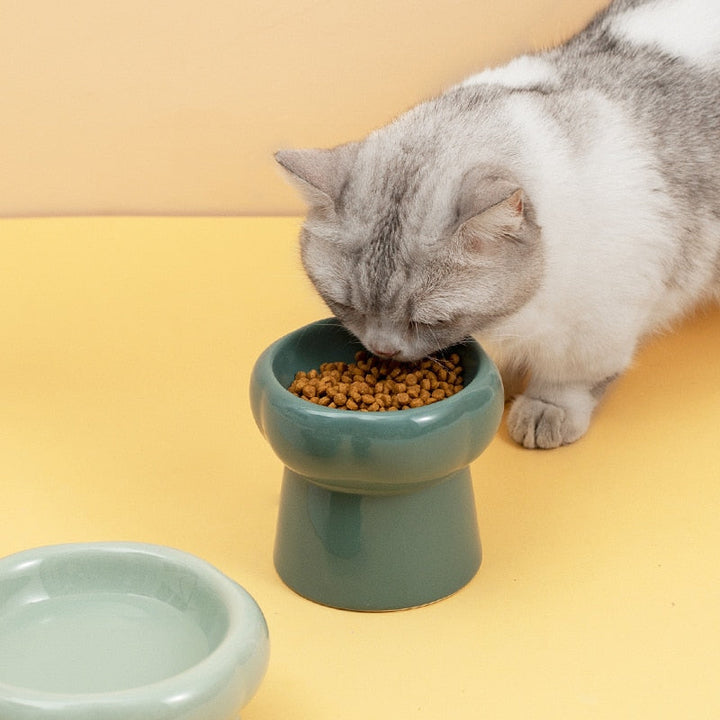 Hævede Keramiske Katte Skåle med Antibakterielle Egenskaber