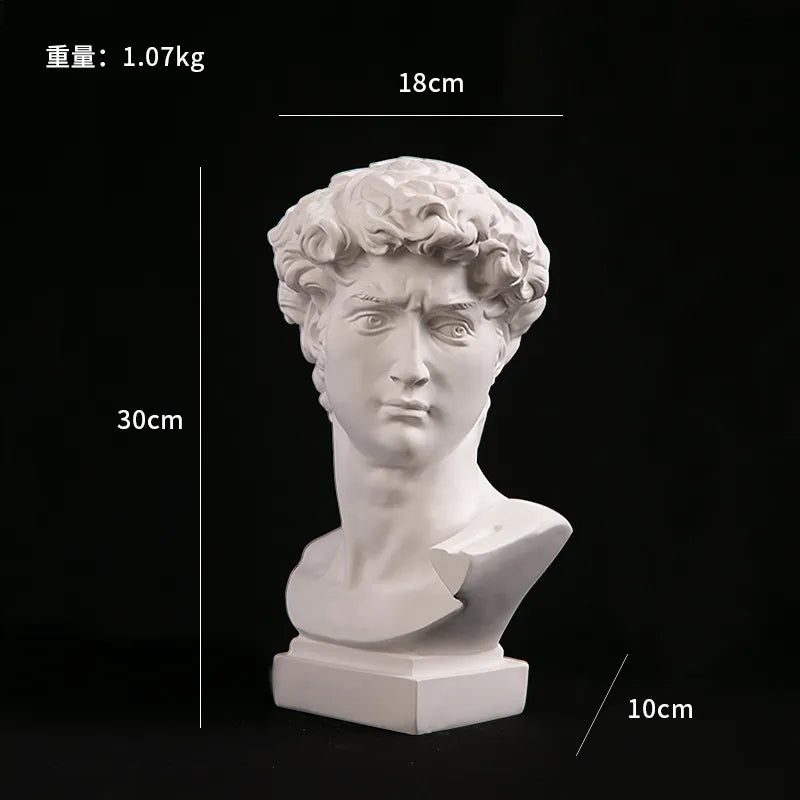 Håndlavet David Hoved Bust i Resin - Moderne Abstrakt Skulptur