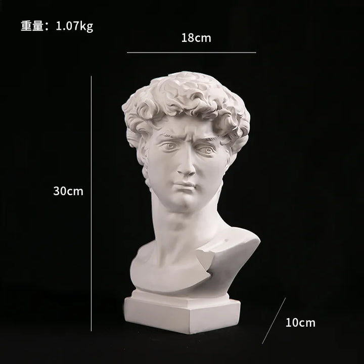 Håndlavet David Hoved Bust i Resin - Moderne Abstrakt Skulptur