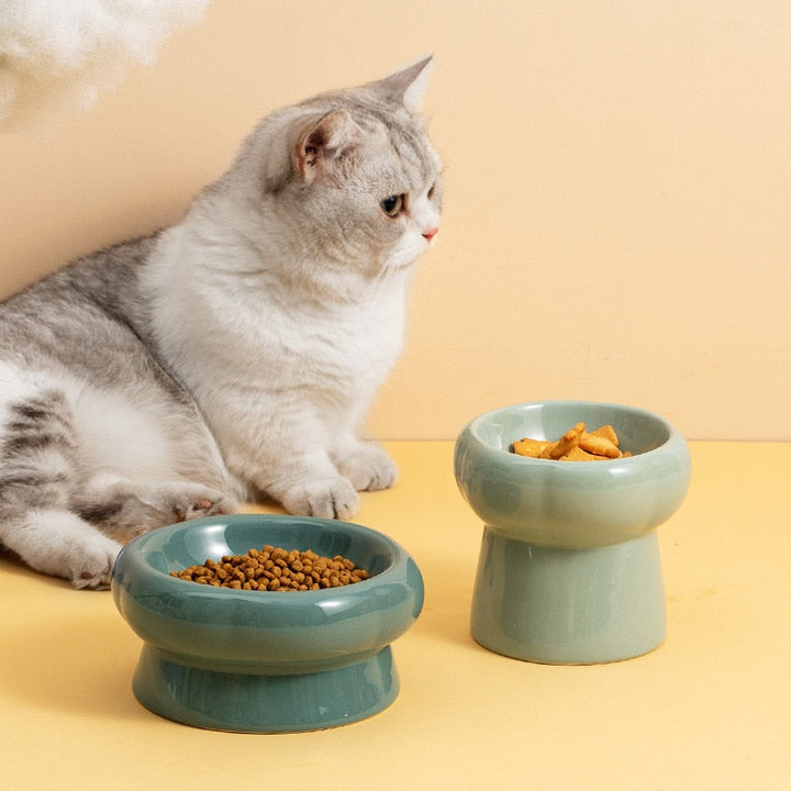 Hævede Keramiske Katte Skåle med Antibakterielle Egenskaber