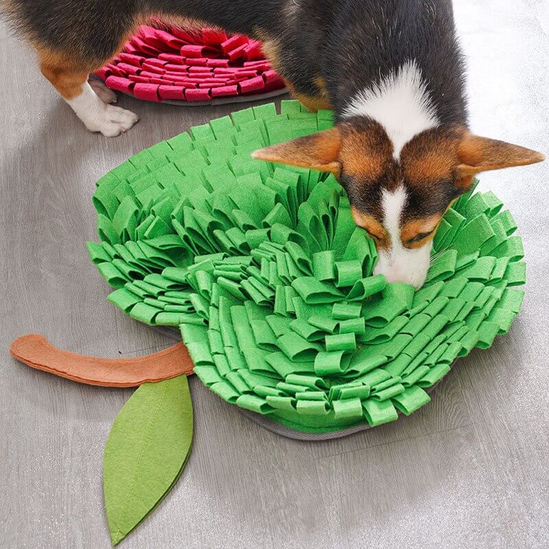 Interaktiv Snuffle Mat til Hunde - Kognitiv Træning og Langsom Spisning