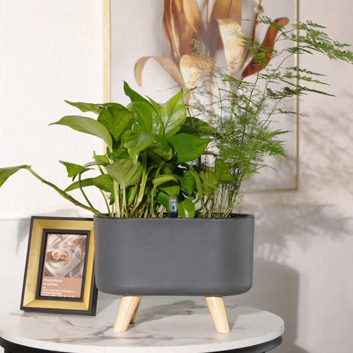Miljøvenlig Selvvandende Blomsterkrukke i Moderne Design