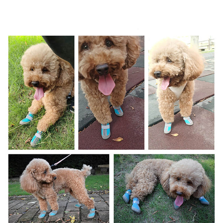 Holdbare Mesh Vandresko til Små Hunde med Non-Slip Såler