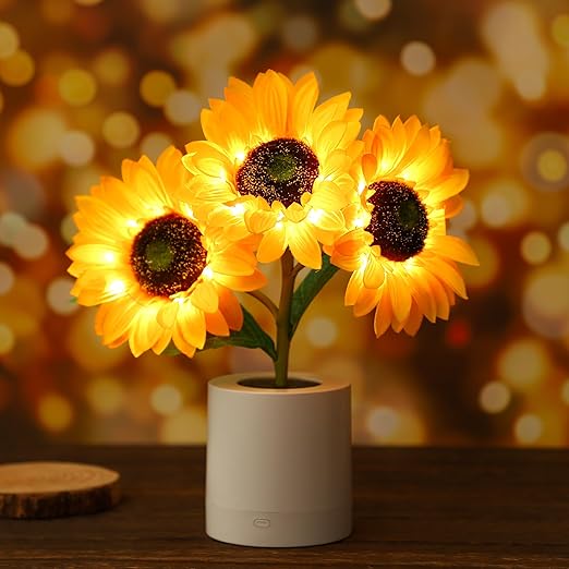 Solskins LED Bordlampe med Genopladeligt USB Batteri