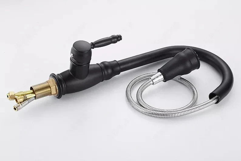 Udtrækkelig Køkkenvask med Dual Sprayfunktion