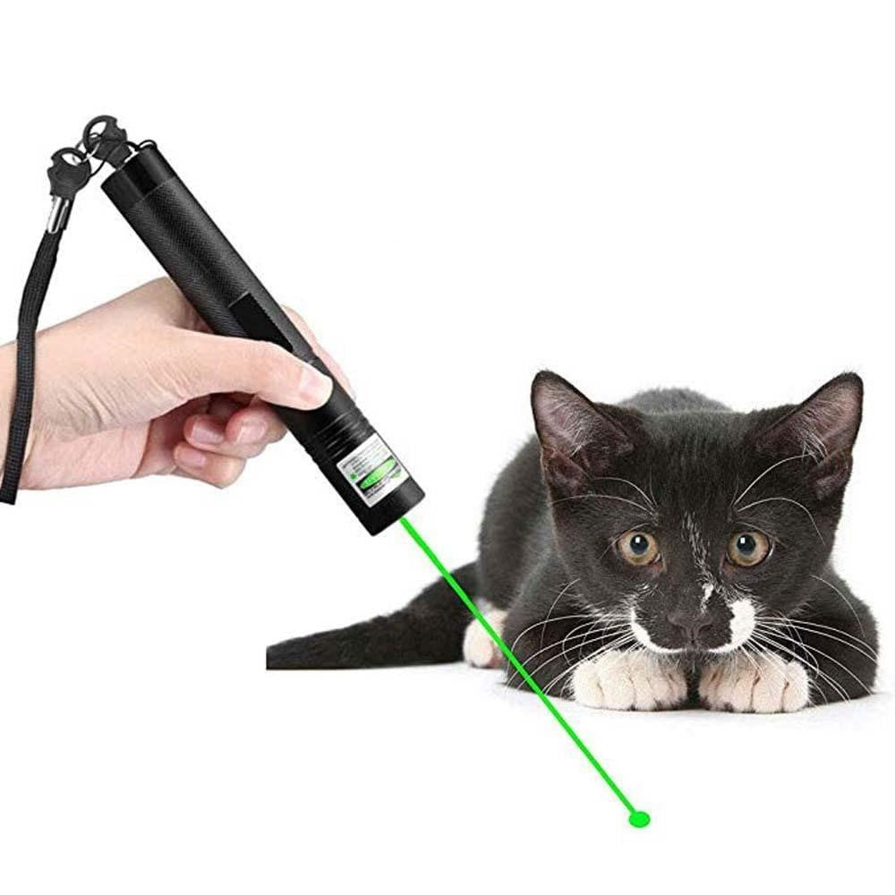 Højtydende Grøn Laserpointer til Præsentationer og Udendørs Brug