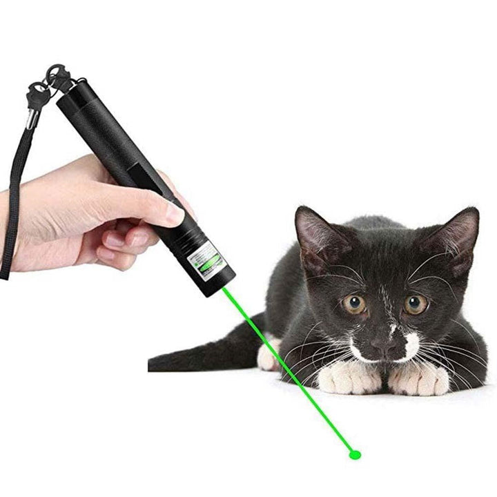 Højtydende Grøn Laserpointer til Præsentationer og Udendørs Brug