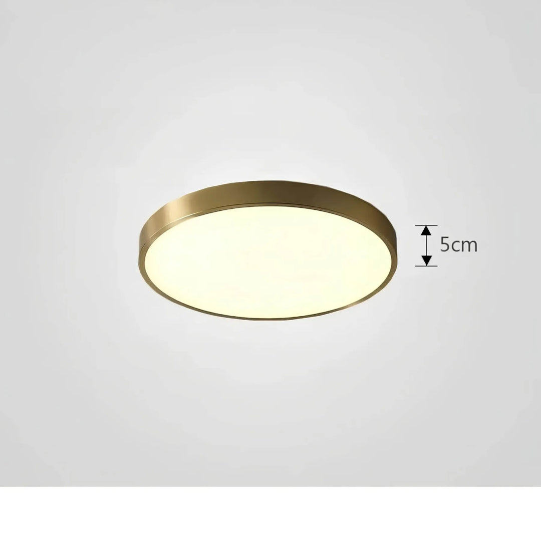 Farveskiftende Loftlampe med Fjernbetjening og Dæmpning