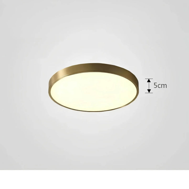 Farveskiftende Loftlampe med Fjernbetjening og Dæmpning