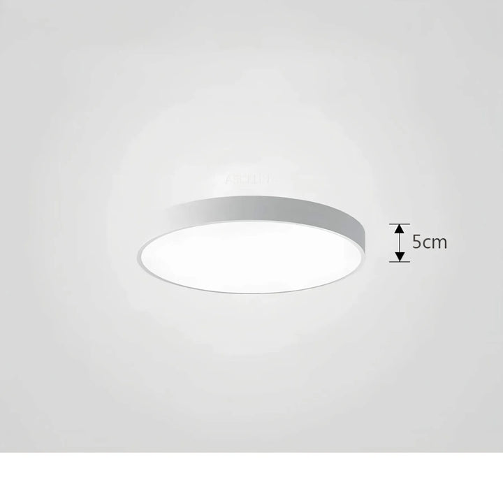Farveskiftende Loftlampe med Fjernbetjening og Dæmpning