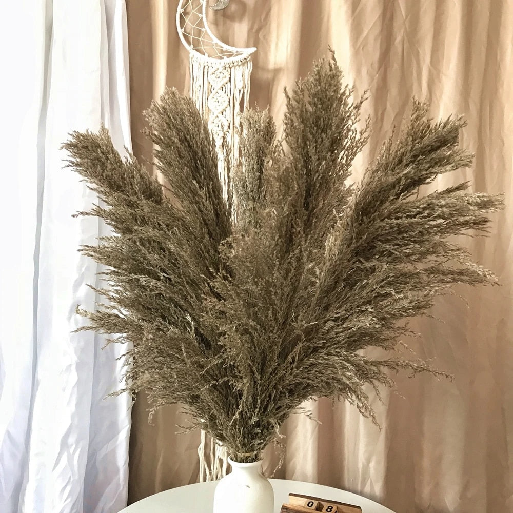 Tørret Pampas Græs Blomster - Boho Dekoration