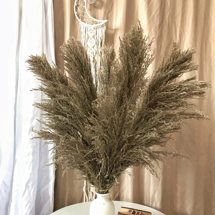 Tørret Pampas Græs Blomster - Boho Dekoration