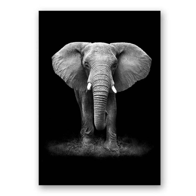 Sort og Hvid Afrikansk Dyreliv Canvas Kunst