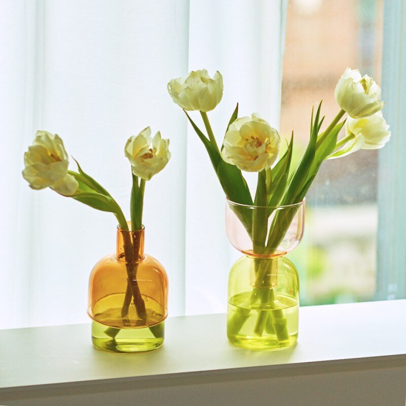 Mini Glas Terrarium Sæt til Hydroponiske Planter